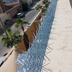 شبك حمام و طرد حمام بالرياض (2)