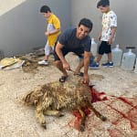 جزار بالرياض ذبح وسلاخ اضاحي قصاب